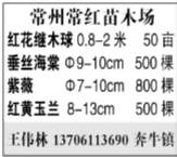 常州常红苗木场图片