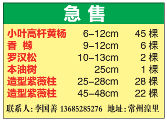 李国善图片