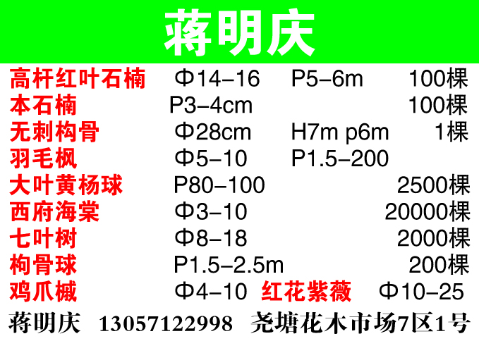 金坛神木苗木合作社