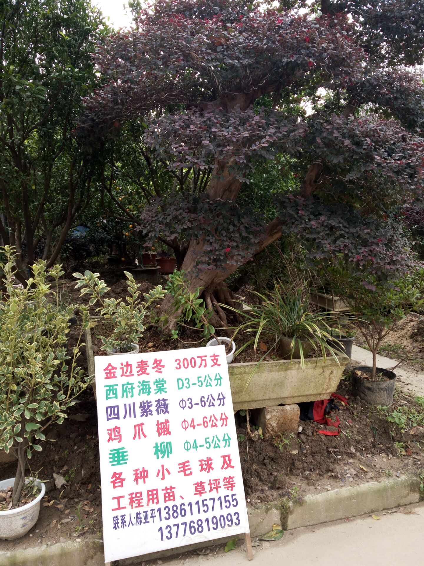 23幢3-5号图片