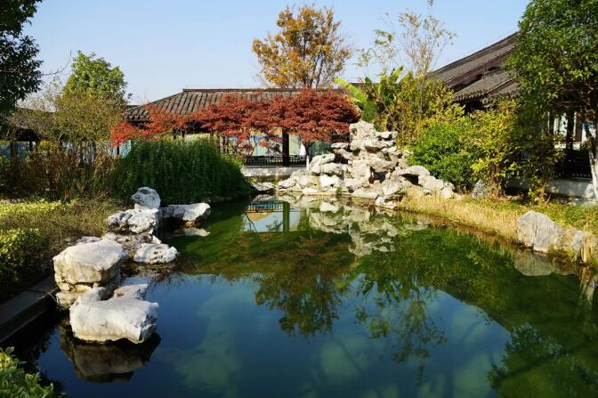怎样让园林植物“吃饱”又“吃好”？什么肥含量高，施什么肥，什么肥养分集中，施什么肥