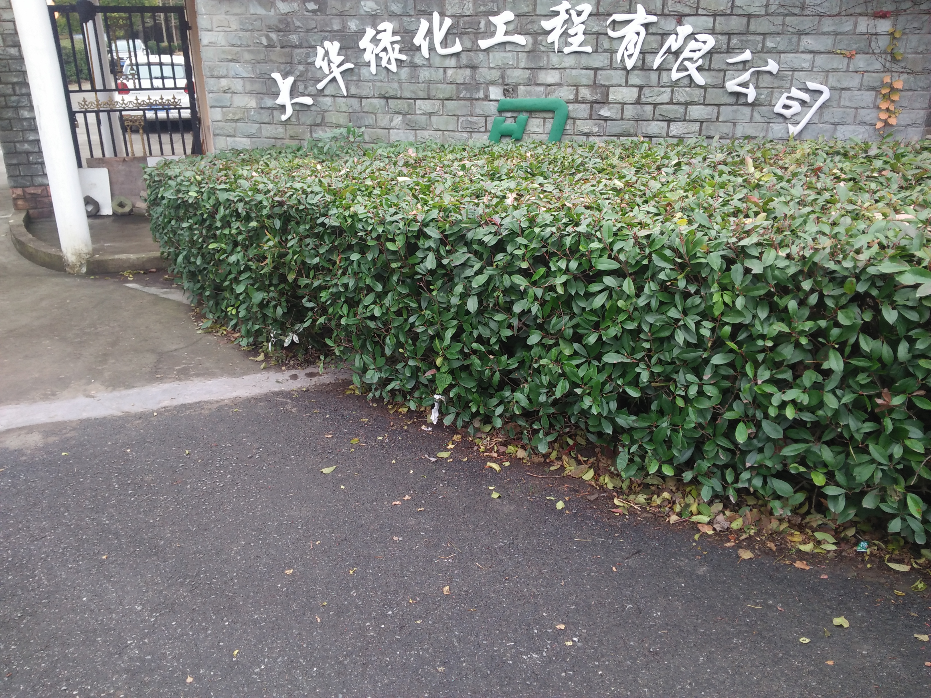 上海大华绿化工程有限公司图片