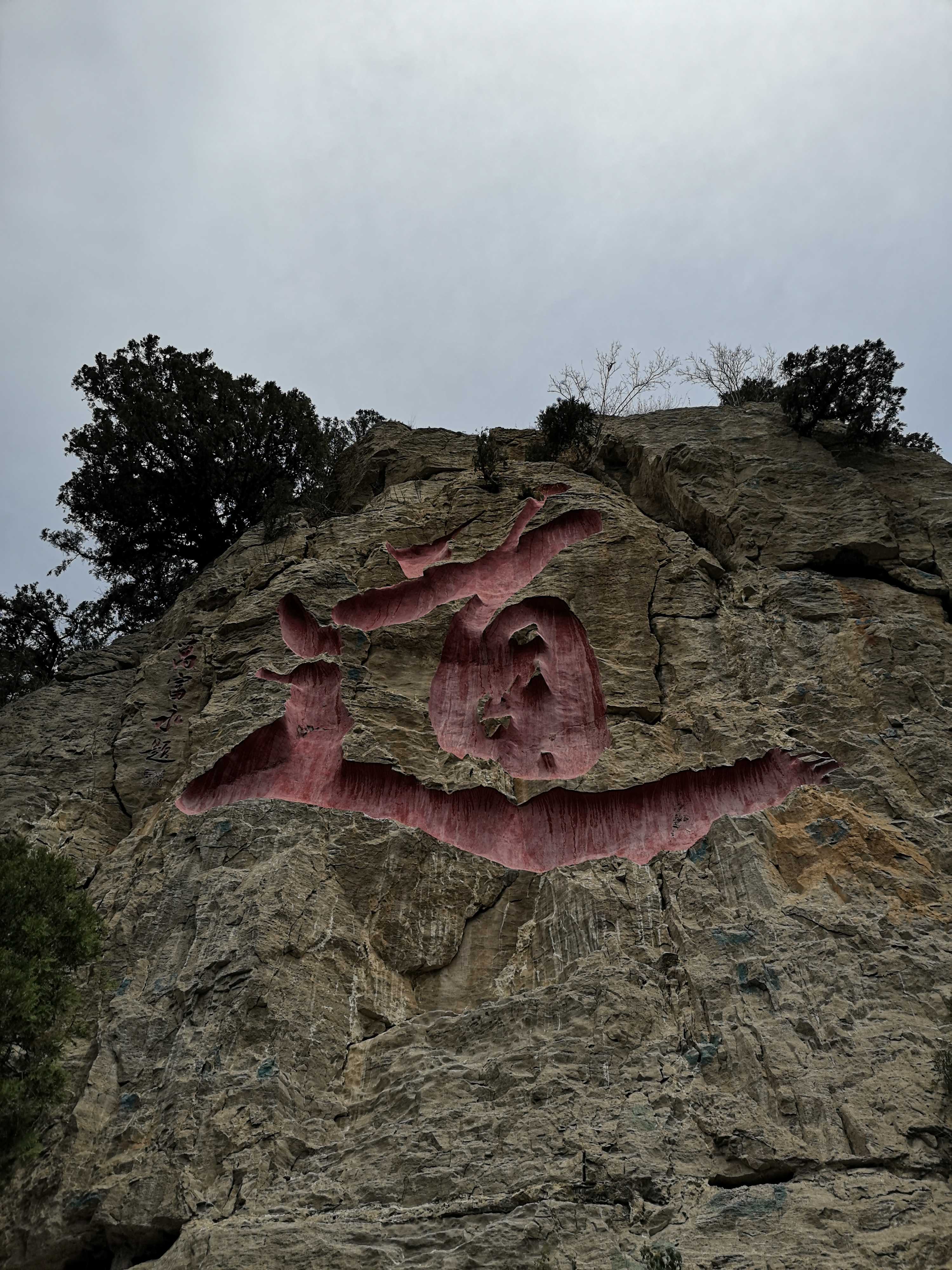 峰茂盛通图片