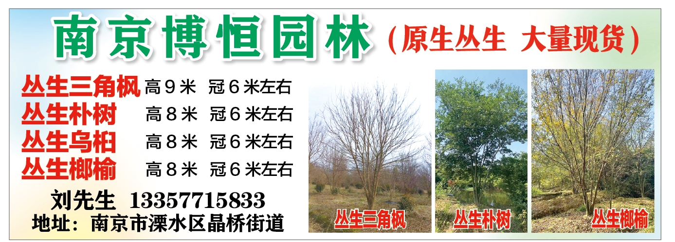南京博恒园林开发有限公司图片