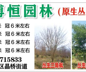 南京博恒园林开发有限公司