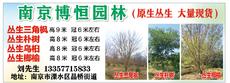南京博恒園林開發有限公司圖片