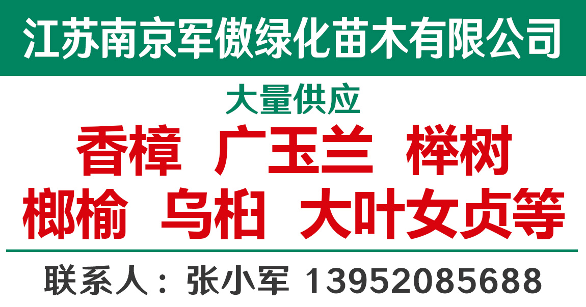 江苏南京军傲绿化苗木有限公司