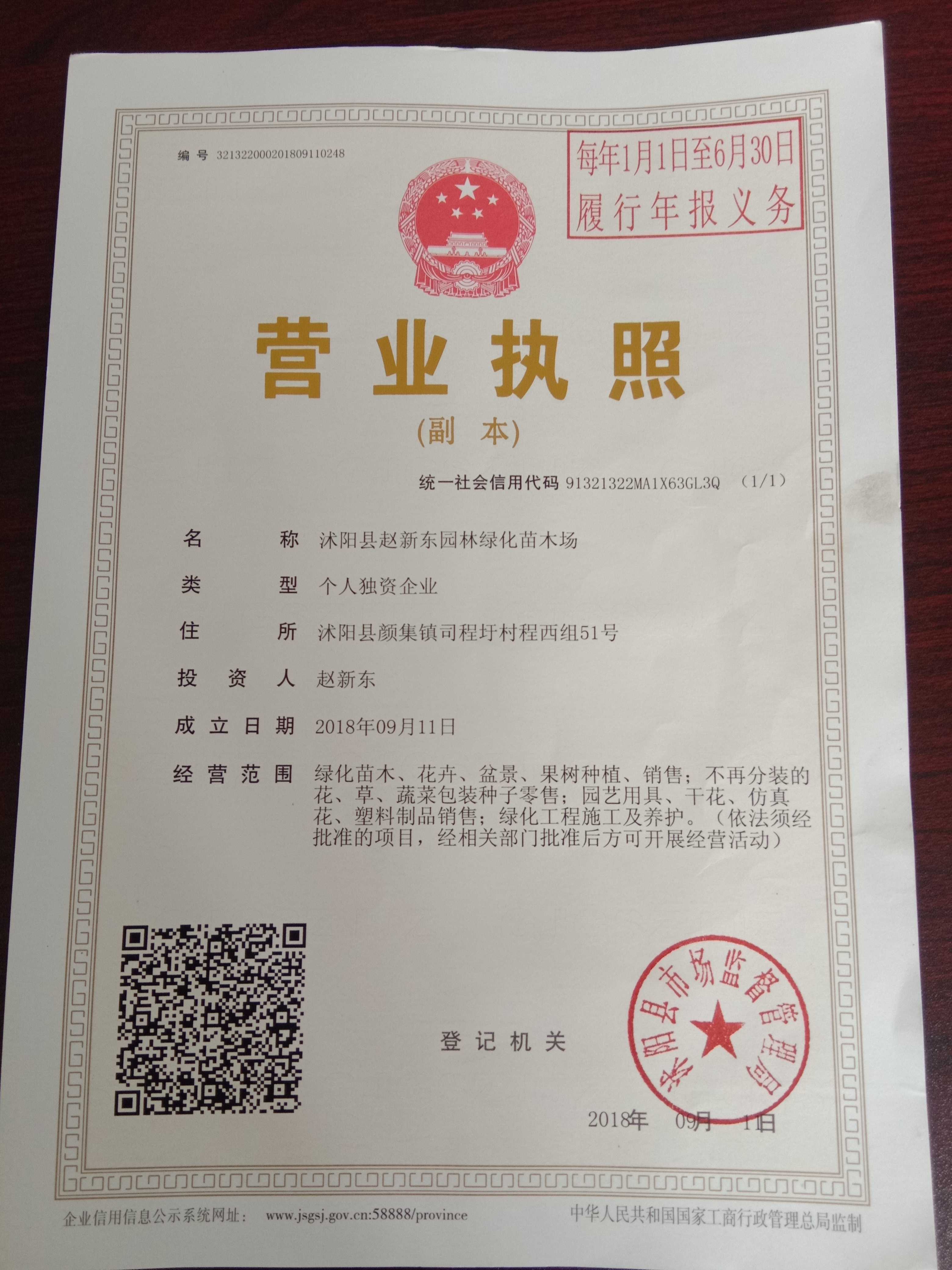 沭阳赵新东园林绿化有限公司