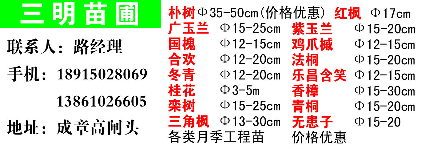 三明苗圃图片