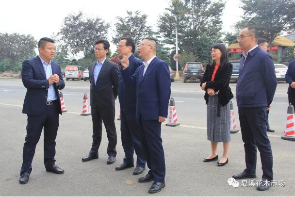 江苏省林业局局长沈建辉一行莅临夏溪花木市场参观考察