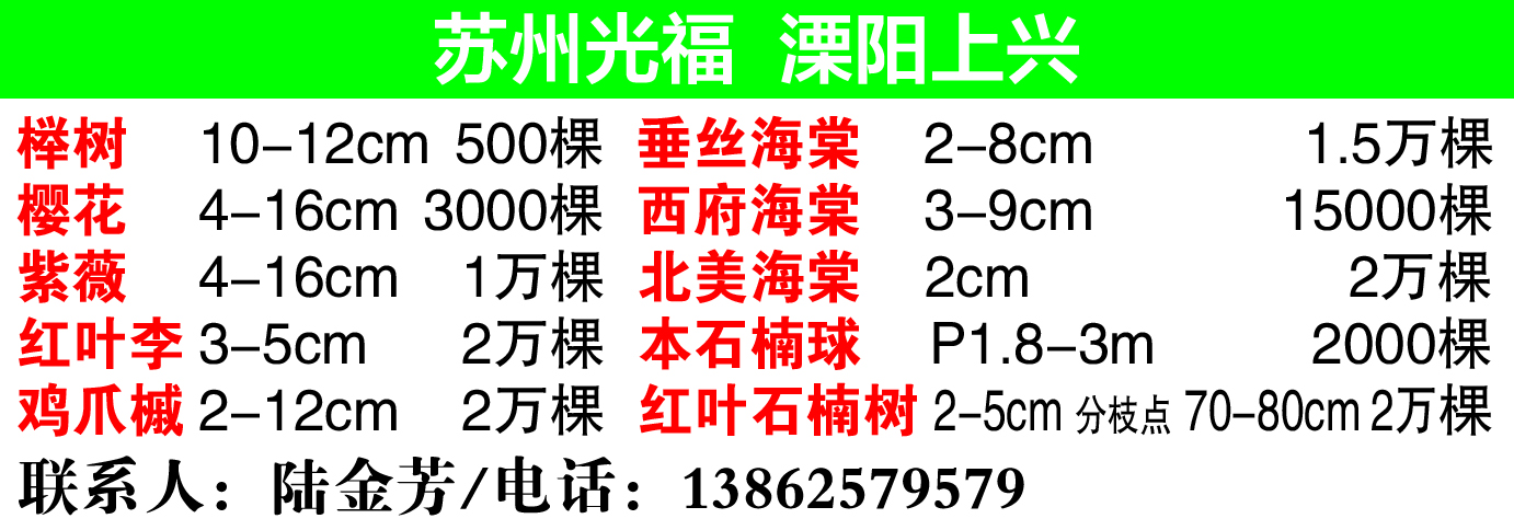 陆金芳苗木场