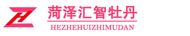 菏泽汇智牡丹种植有限公司