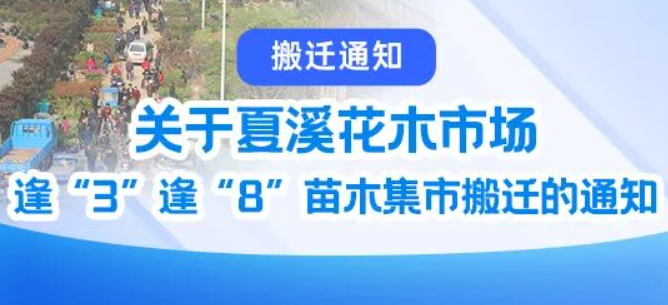 关于夏溪花木市场逢“3”逢“8”苗木集市搬迁的通知