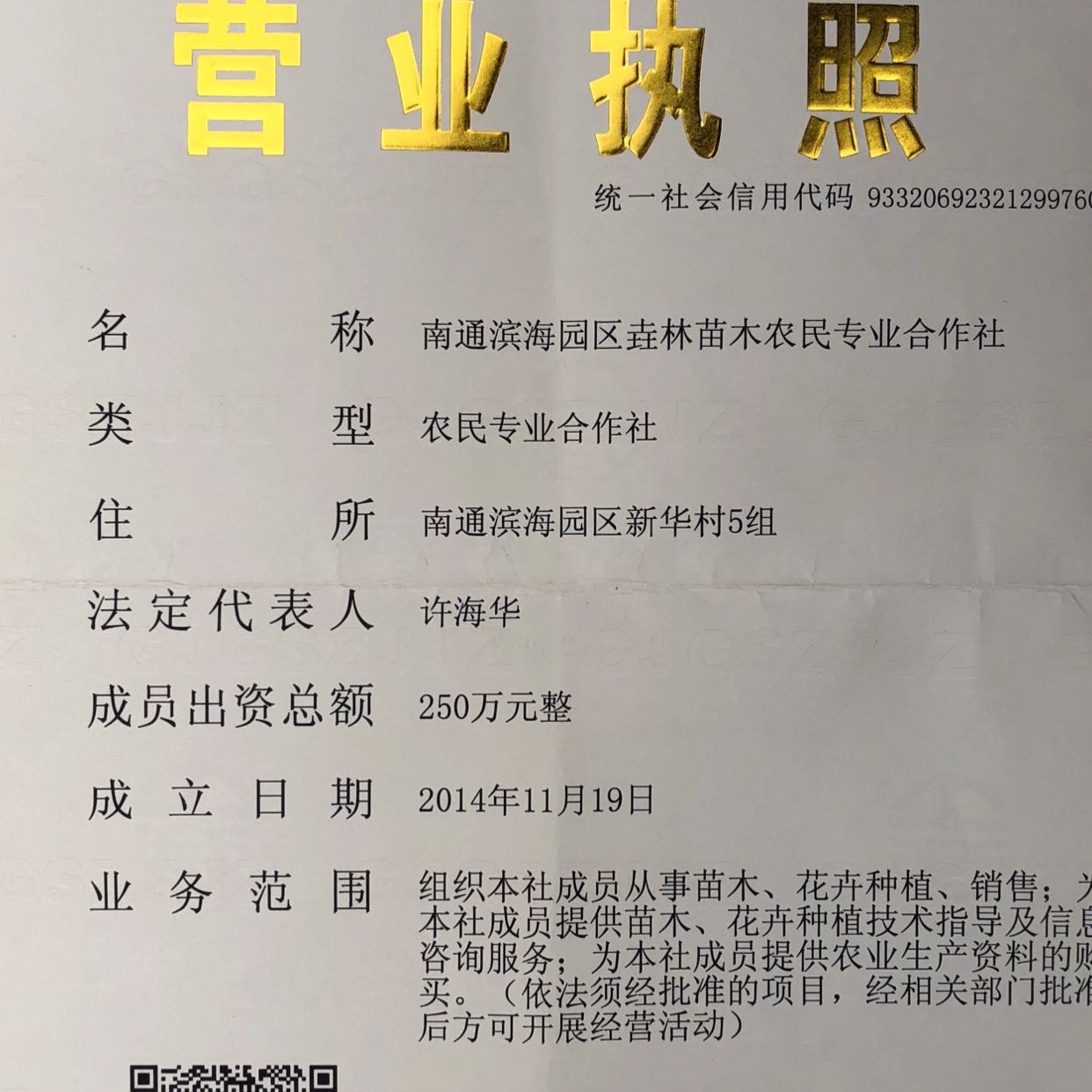 南通滨海园区垚林苗木农民专业合作社图片