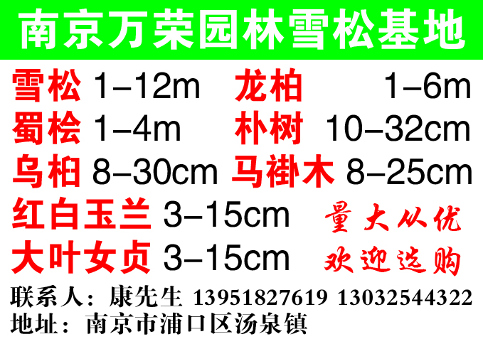 南京万荣园林苗木场