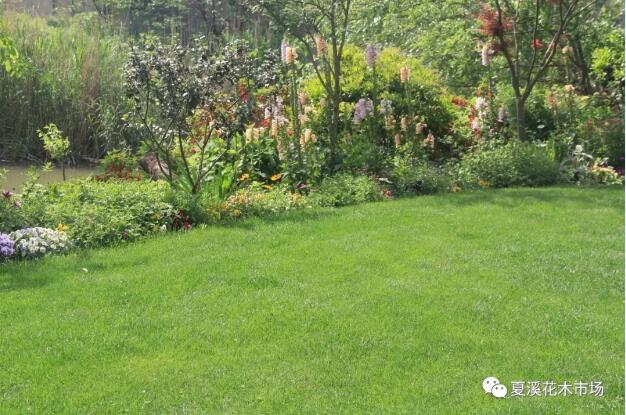 FnxZtVeCtDEamR4wuo7Kqav7f3h_