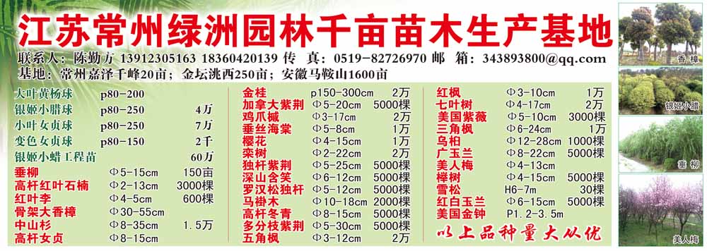 江苏常州绿洲园林千亩苗木生产基地图片