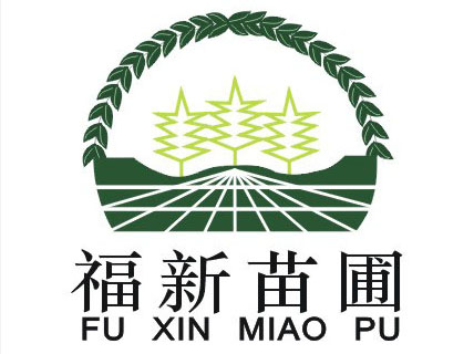 清流县嵩口福新苗圃图片