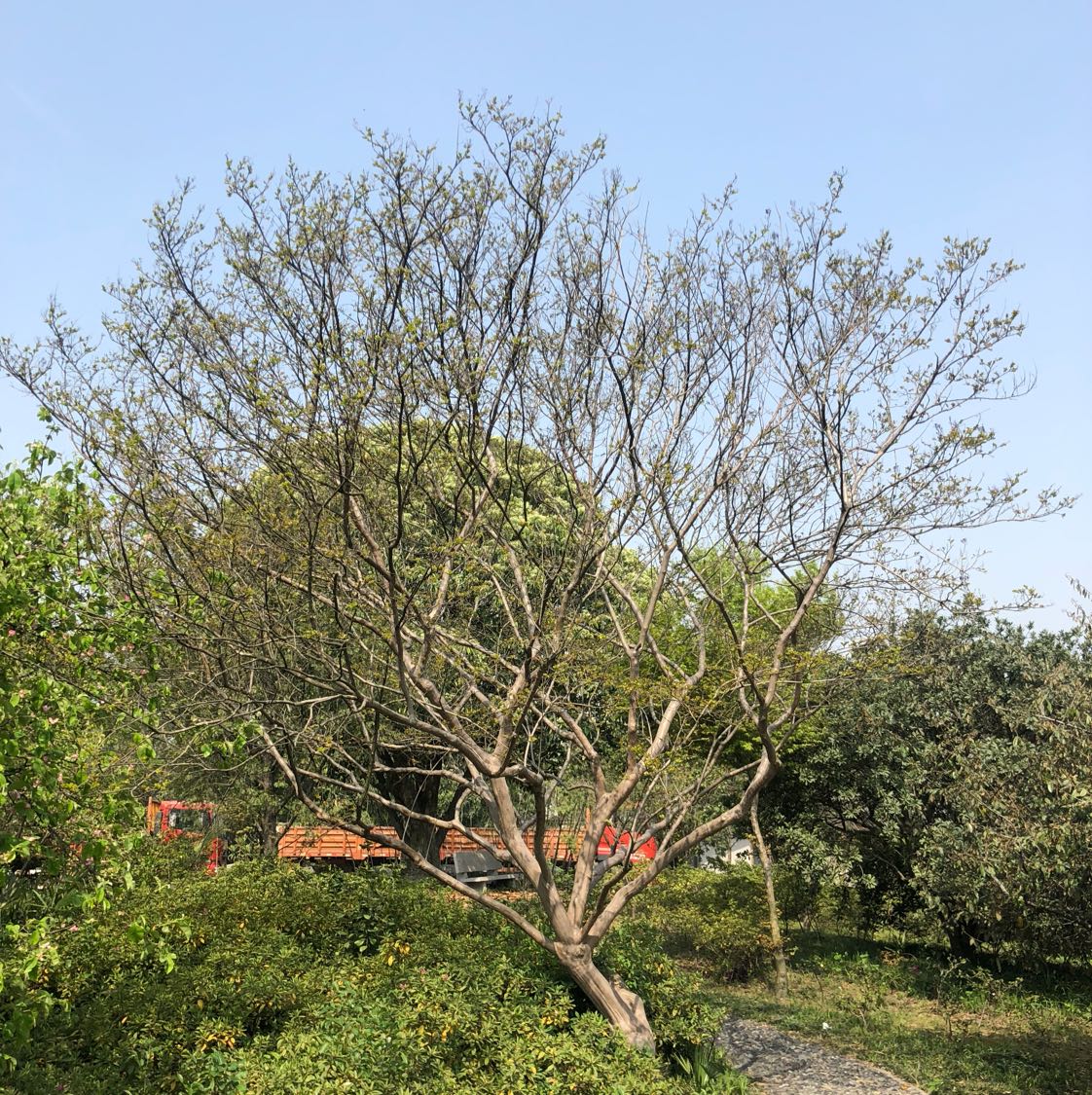 一帆图片
