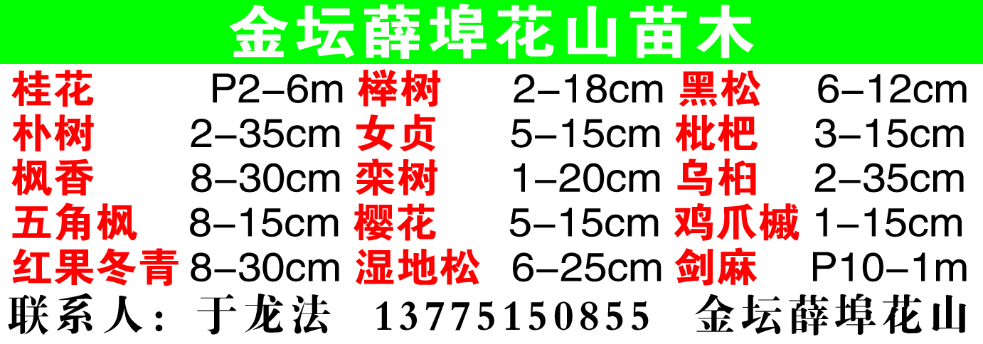 金坛薛埠花山苗木图片