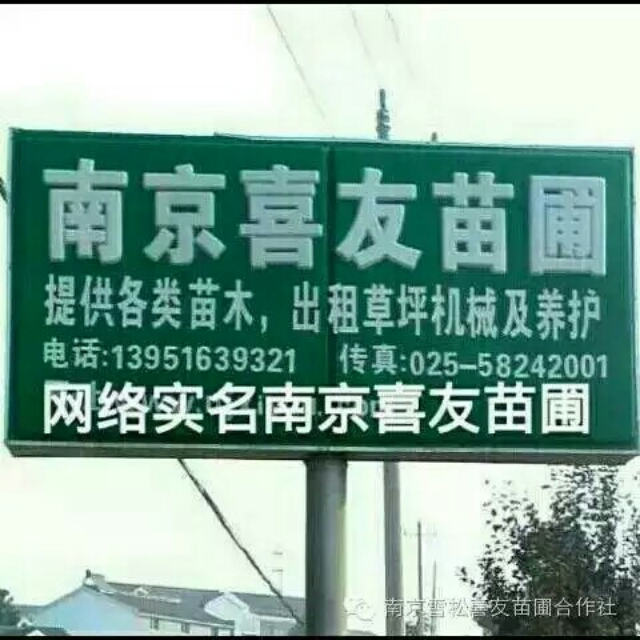 南京喜友苗圃