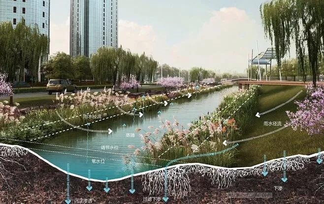 ​雨水花园依托于纯天然地形搭配人工挖掘的景观类型，与普通花园有点不一样