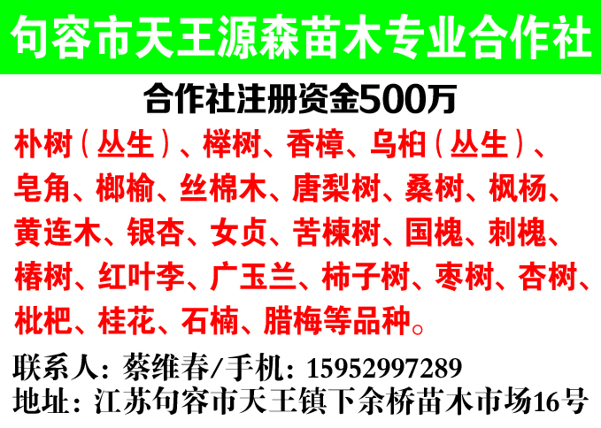 句容市天王源森苗木专业合作社