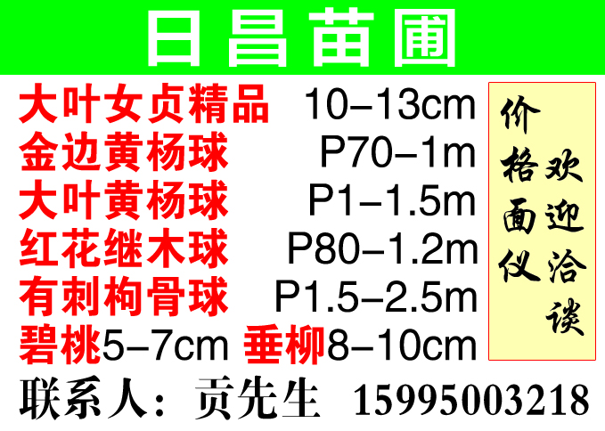 日昌苗圃图片