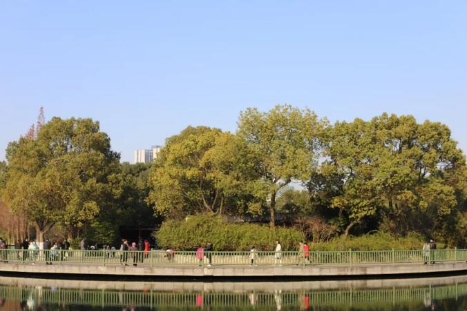 苗圃管理——一年12个月的苗木养护管理要点