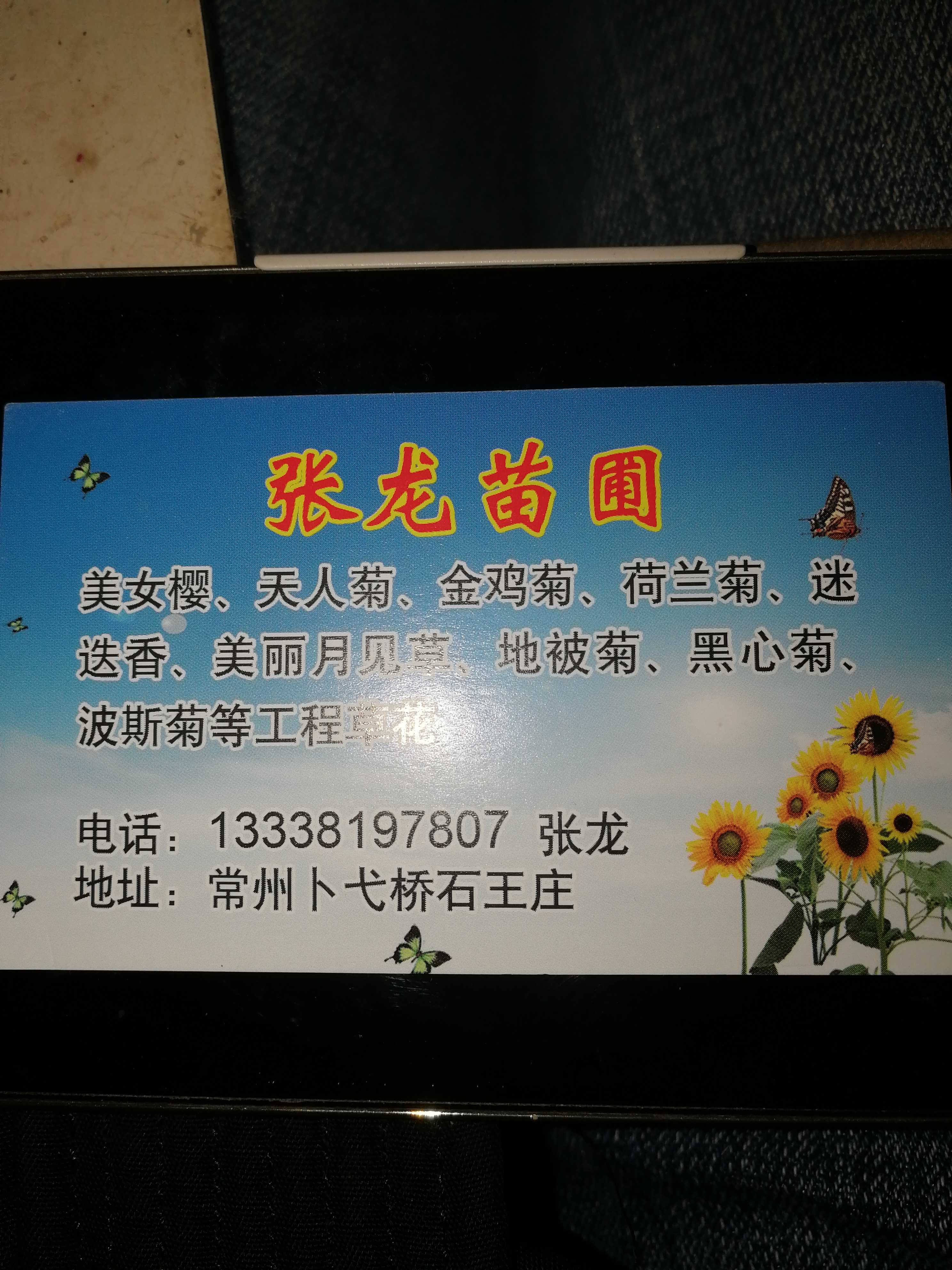 张龙苗圃图片