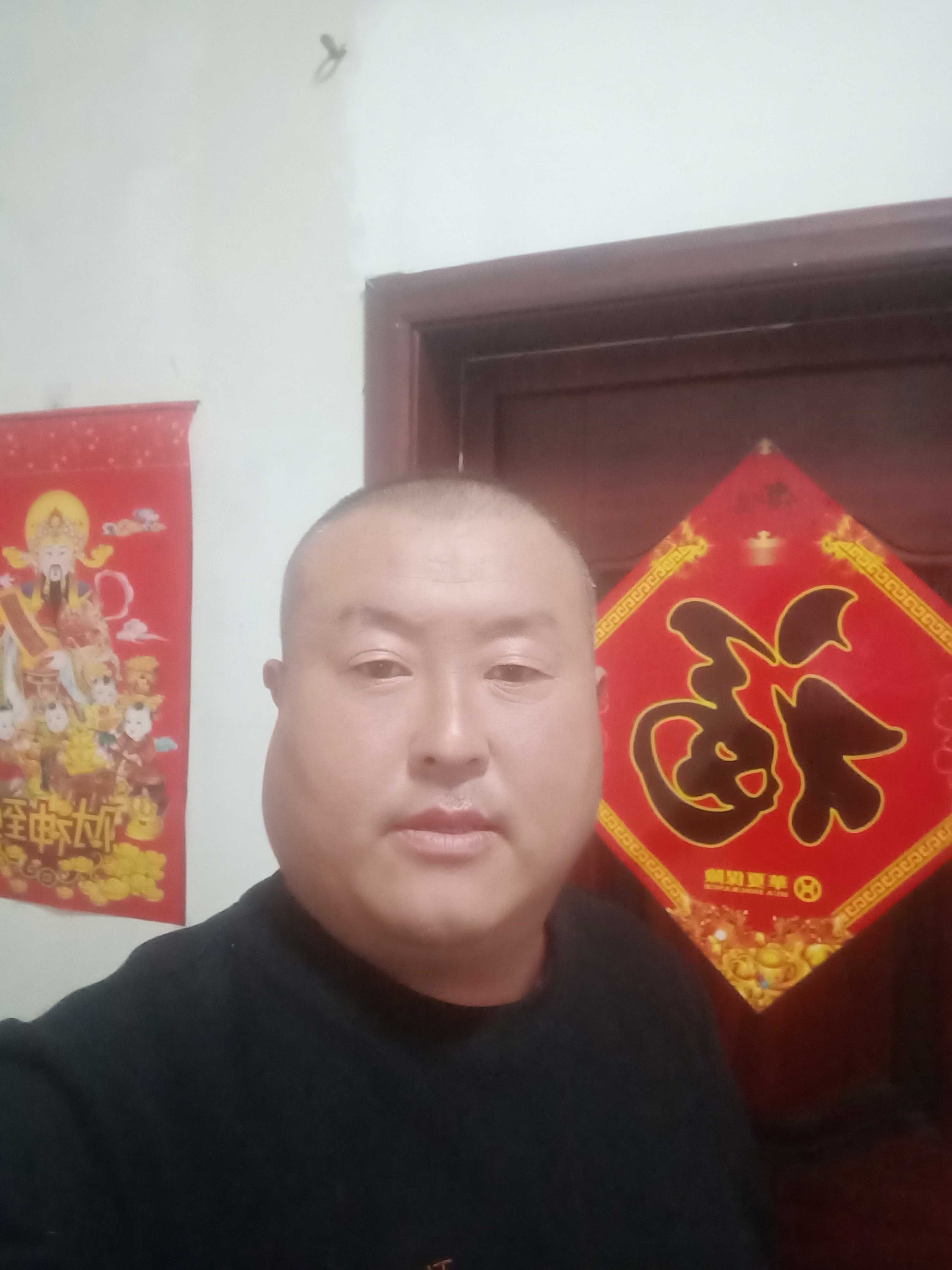 兆辉苗木