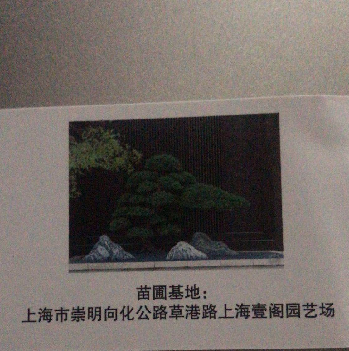 壹格园艺场