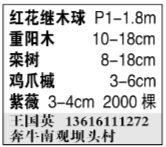 王国英图片