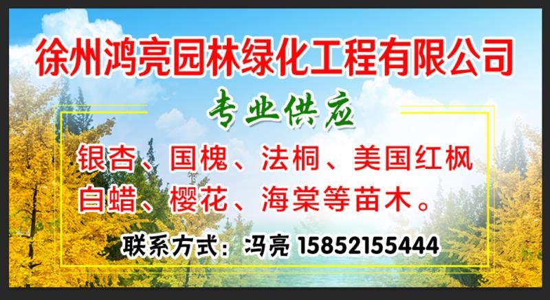 徐州鸿亮园林绿化工程有限公司
