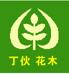 江苏丁伙花木工程公司图片