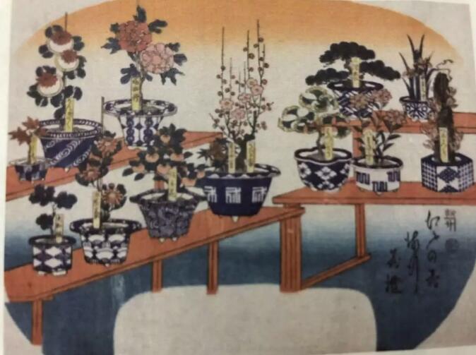 园艺嘉年华：送展世园会的“有田烧花器”即将亮相园艺嘉年华