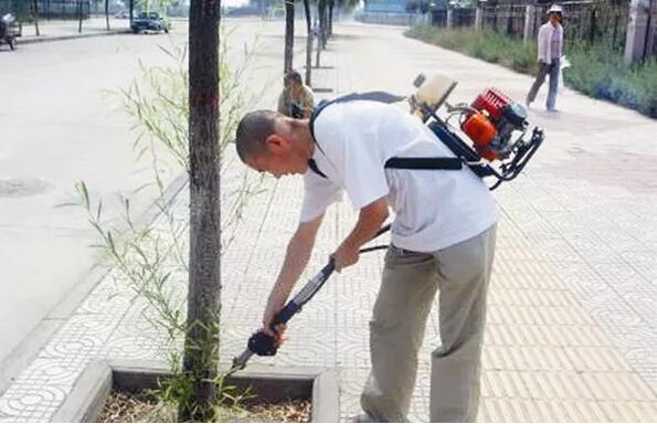 蛀干害虫危害树势衰弱或濒临死亡的树木，园林主要蛀干害虫防控技术