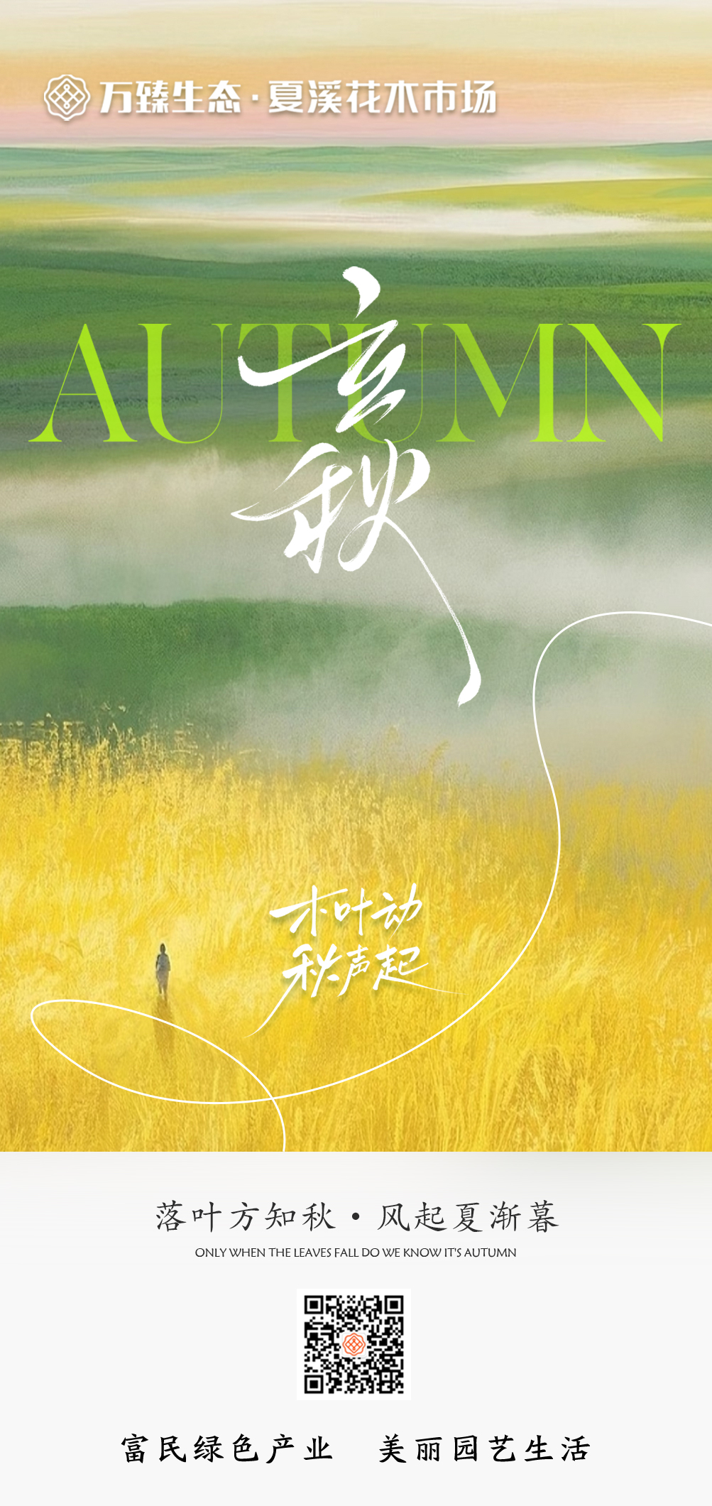 【立秋】落叶方知秋·风起夏渐暮