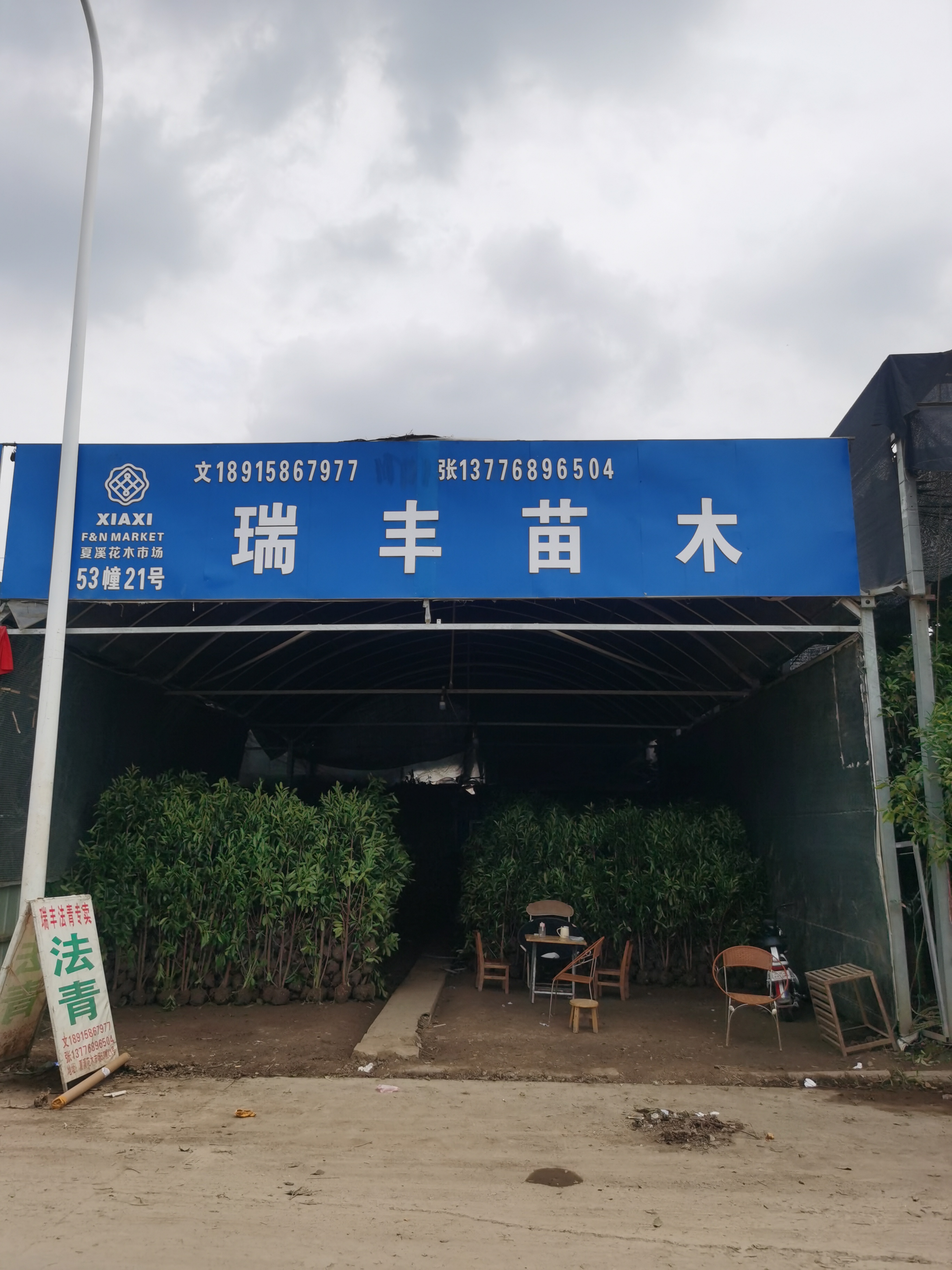 张锋