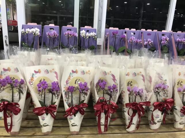 夏溪花木市场园艺资材发展面面观