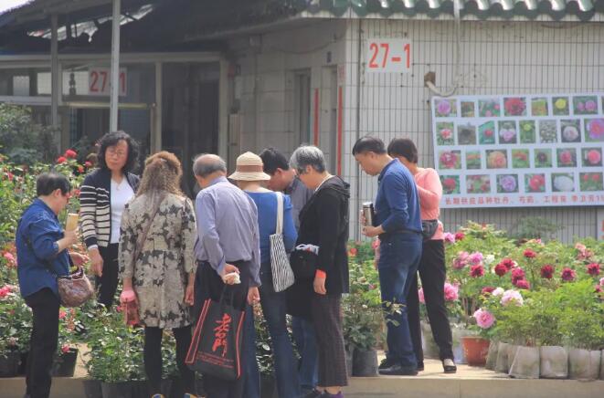 四月赏花来夏溪花木市场免费看花！