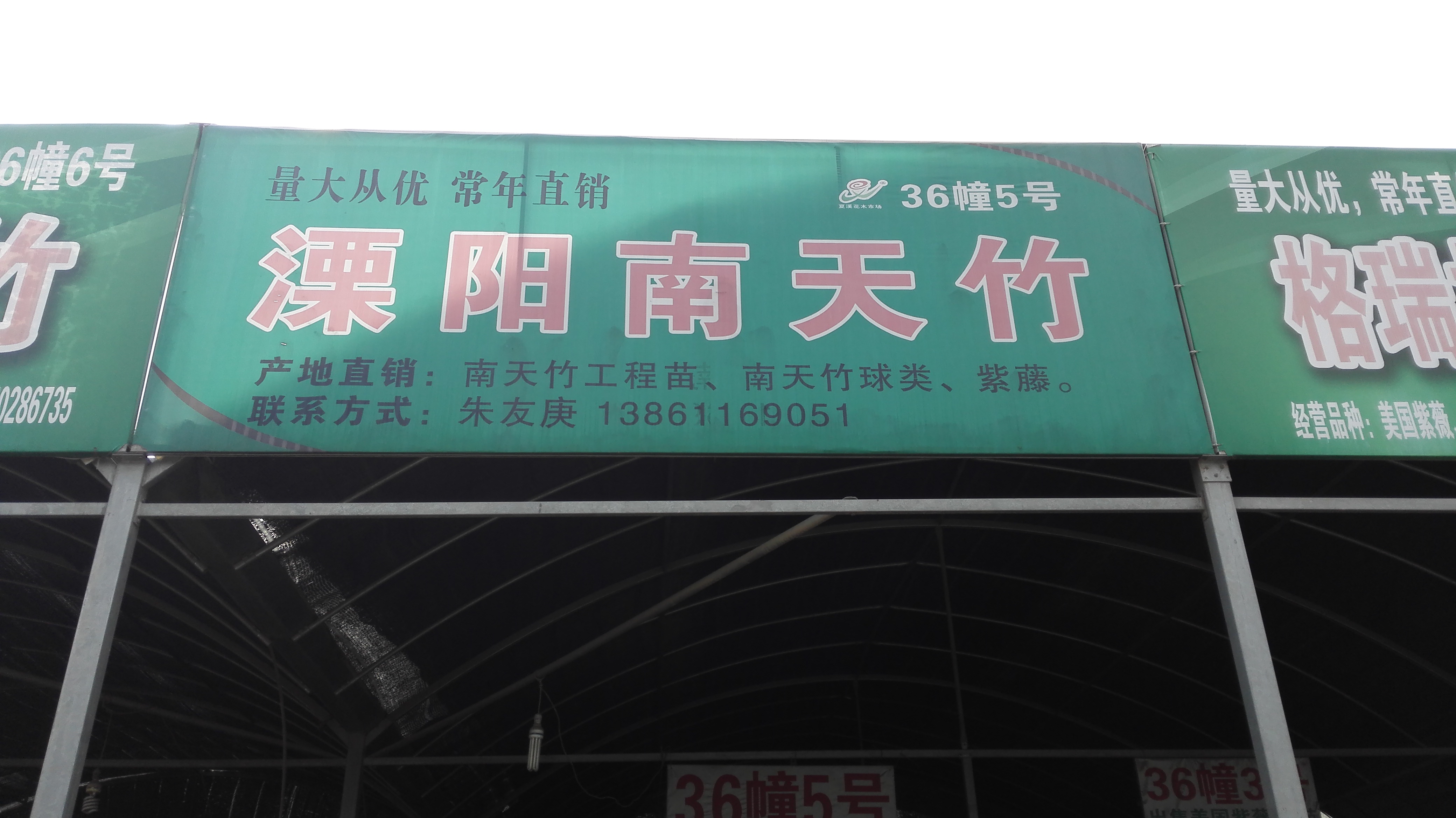 溧阳南天竹