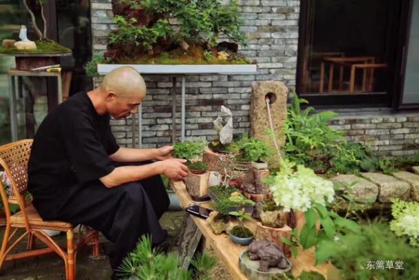 我在夏溪花木市场做园子，访东篱草堂的主人庭院景观设计师印文斌