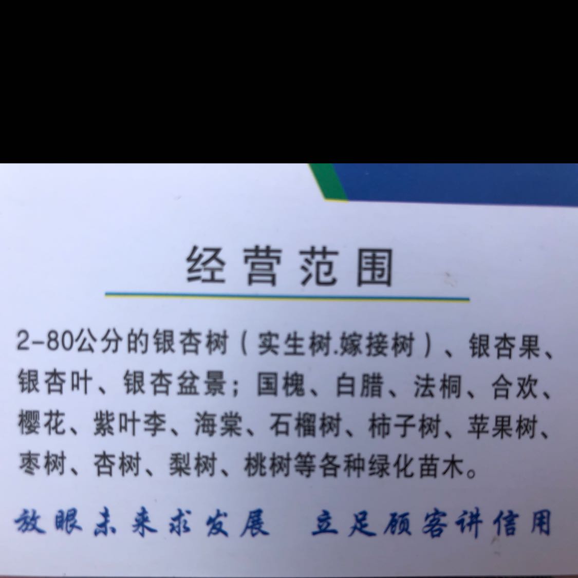 郯城艺丰苗木有限公司图片