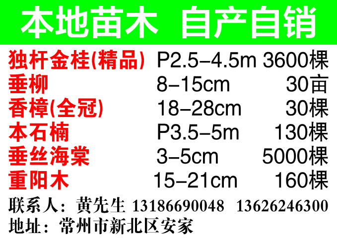 本地苗木图片