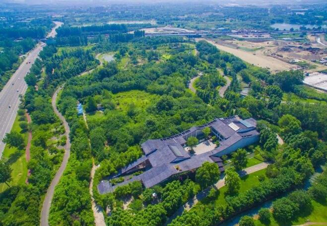 2020年度全国苗木供需分析报告(上）——国土绿化，种苗先行