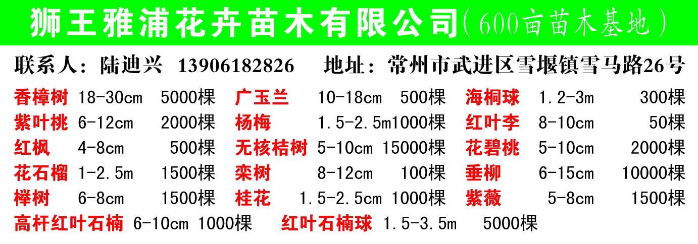 狮王雅浦花卉苗木有限公司