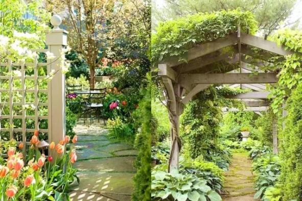 庭院空间如何设计，看图便可知？造个美丽的院子，屋前屋后种些花草