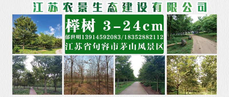 江苏农景生态建设有限公司