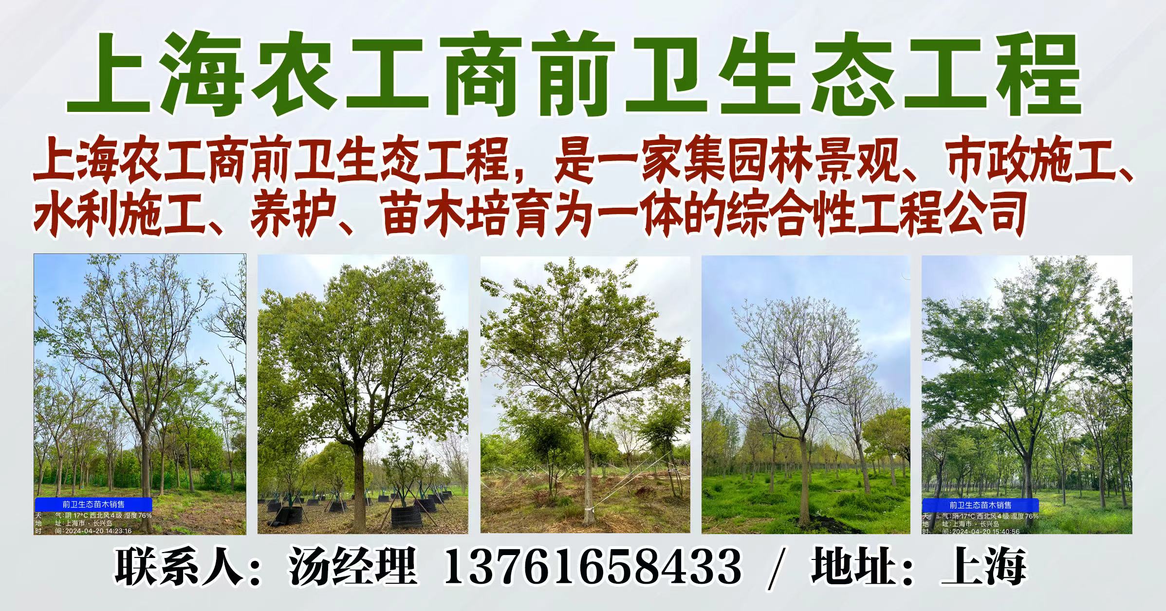 上海农工商前卫生态工程